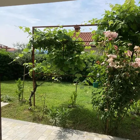 Apartment Oblak *